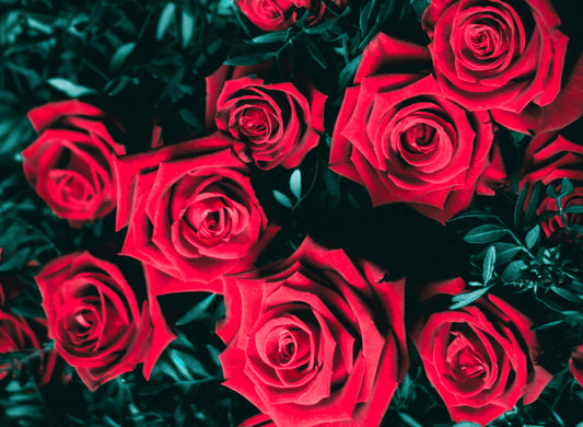 History of National Rose Month